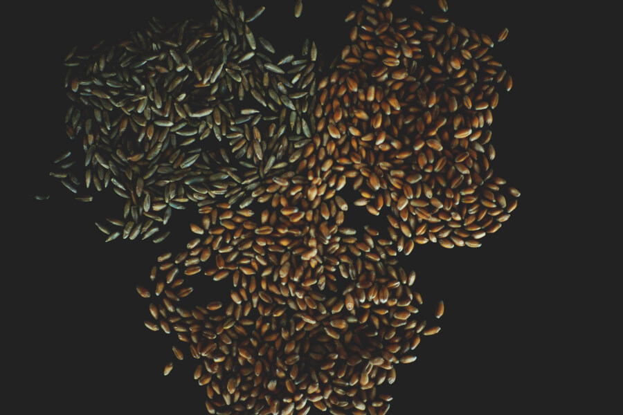 haluta ( ハルタ ) 上田のパン工房