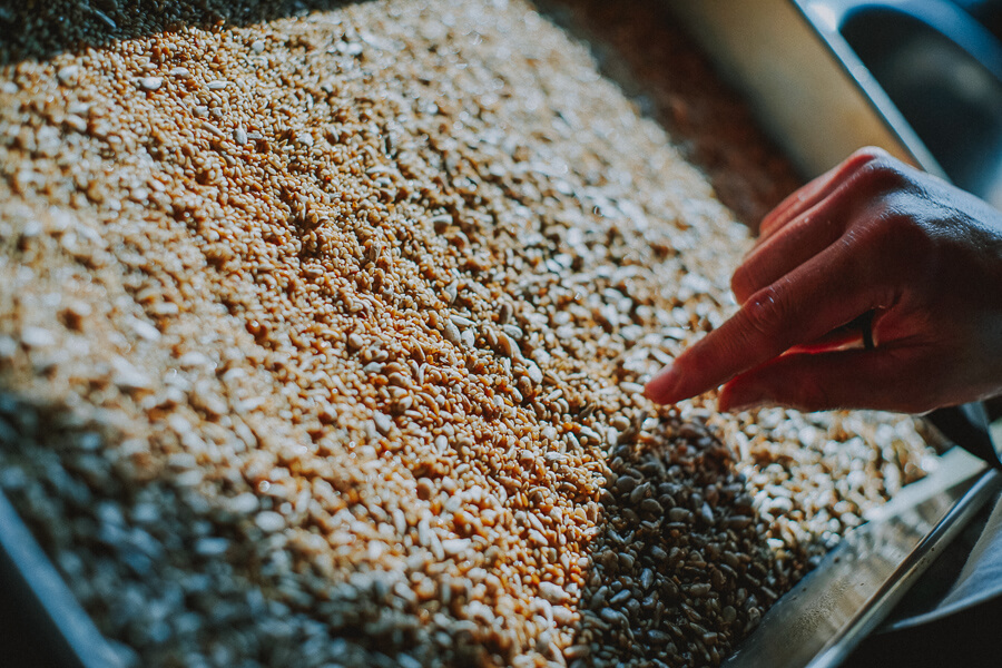 haluta ( ハルタ ) 上田のパン工房