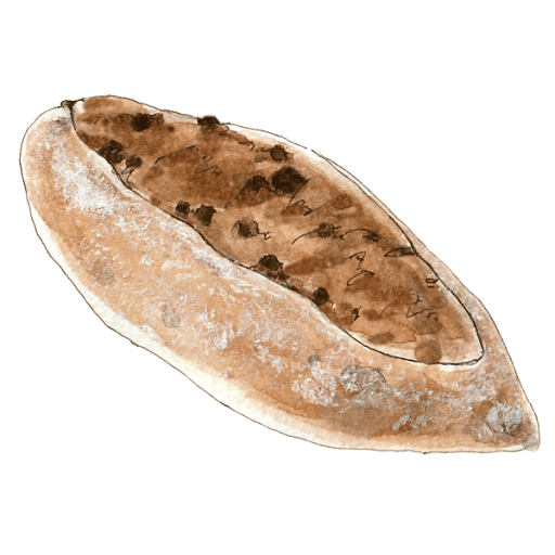 haluta ( ハルタ ) 上田のパン_BARBRODイラスト